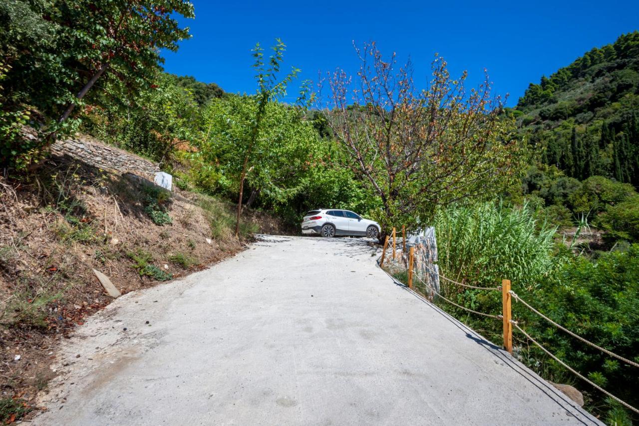 Olea Skopelos Villas With Swimming Pools & Sea View Panormos  Exterior photo