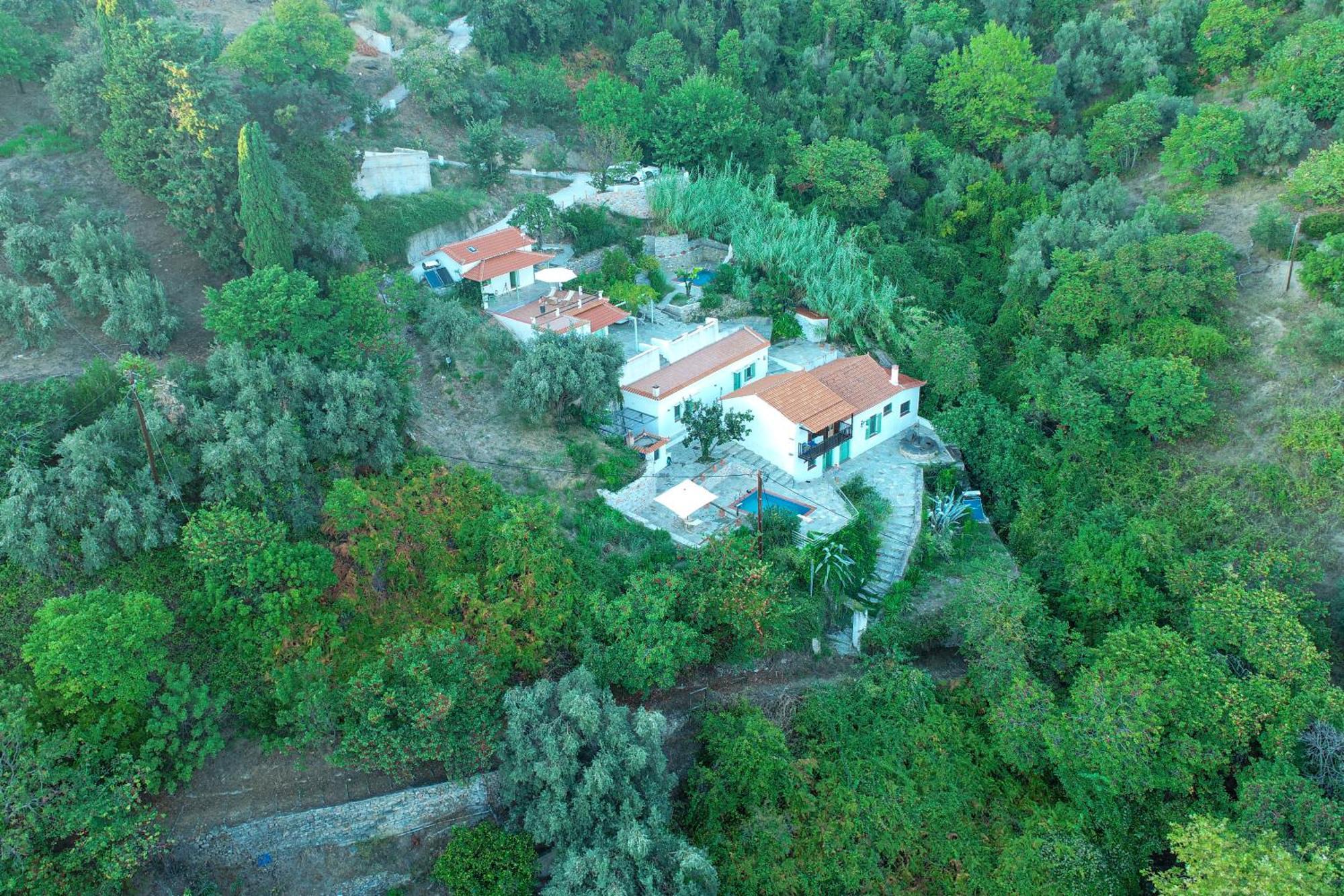Olea Skopelos Villas With Swimming Pools & Sea View Panormos  Exterior photo